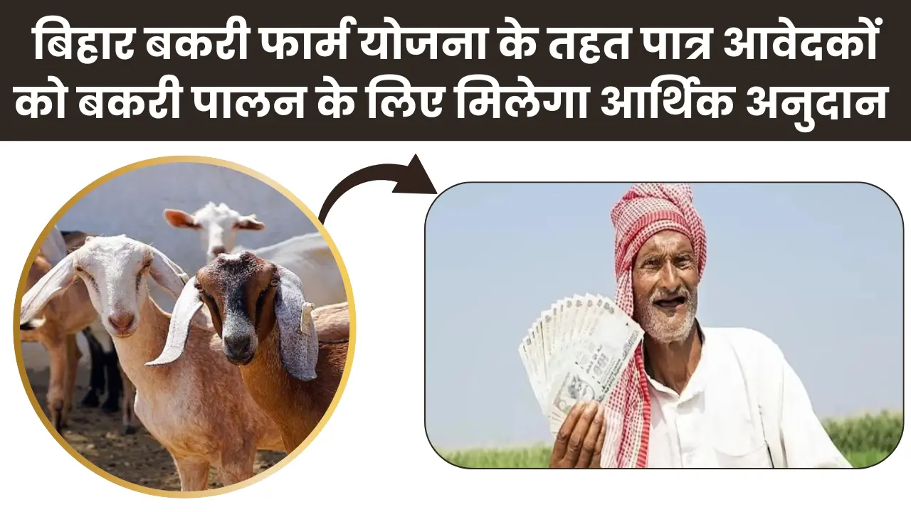 Bihar Bakri Farm Yojana 2025: बिहार बकरी फार्म योजना के तहत पात्र आवेदकों को बकरी पालन के लिए मिलेगा आर्थिक अनुदान